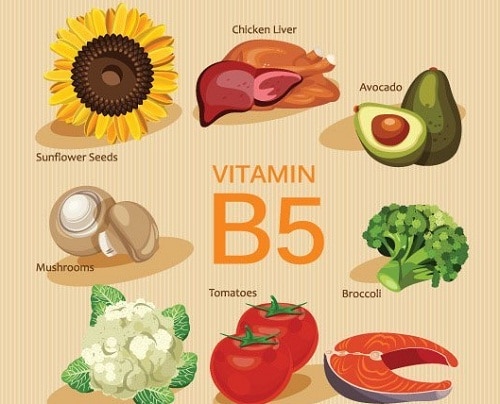 ประโยชน์ของวิตามินบี5-Vitamin B5